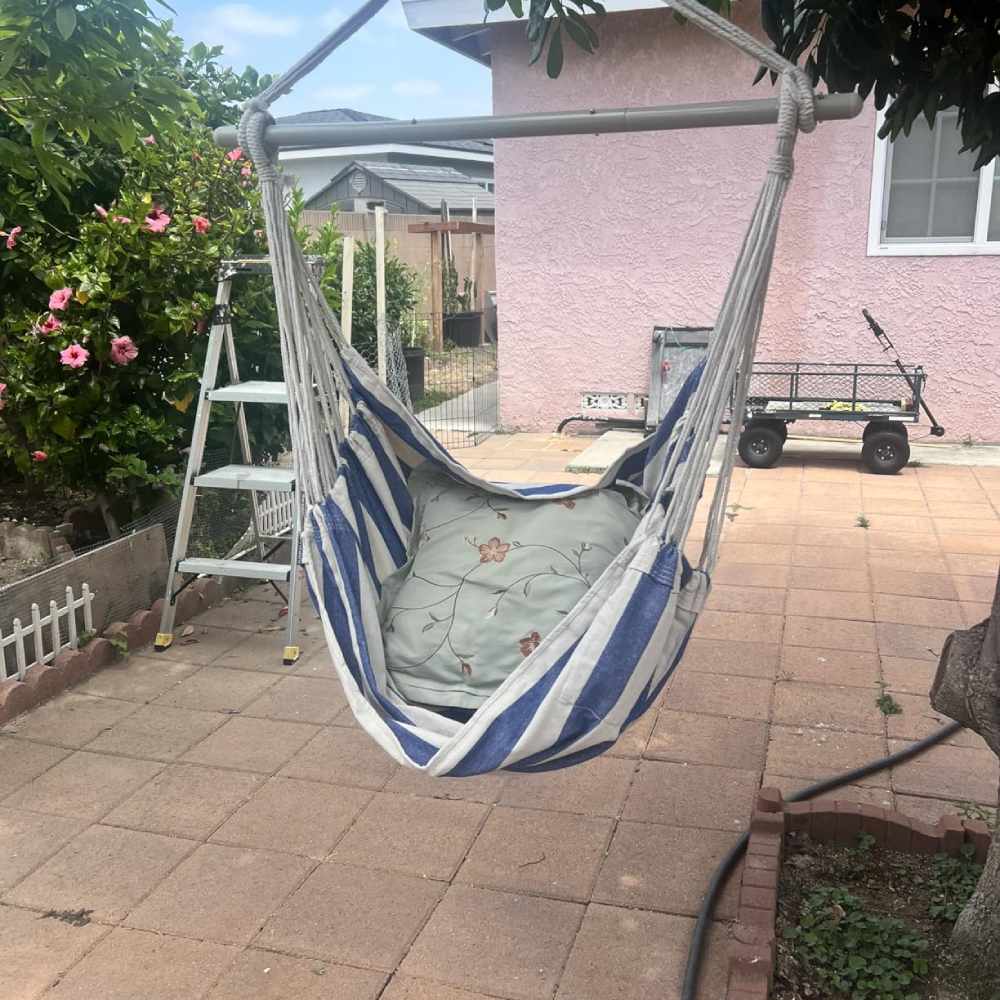 Hammock Chair: image 2